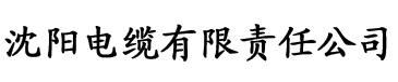 三亚日美韩香蕉在线中文电缆厂logo